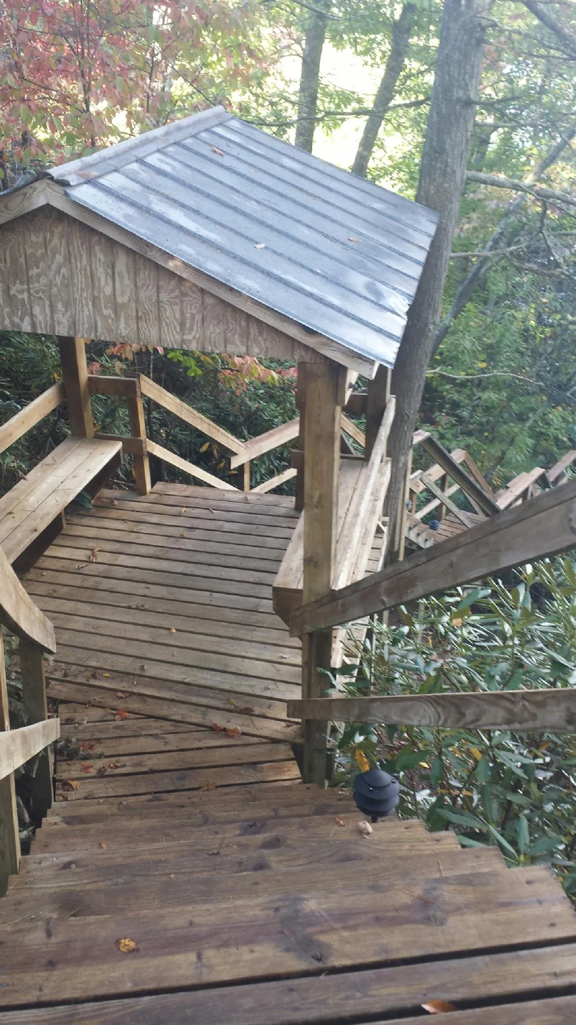 Metal roofed shelter over wooden steps on a wooded walkway — Skylight Repair & Installation work by our crew in Blanchard